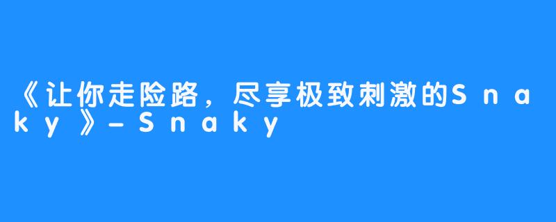 《让你走险路，尽享极致刺激的Snaky》-Snaky