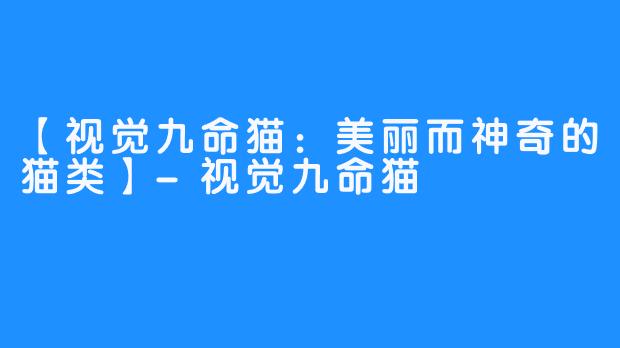 【视觉九命猫：美丽而神奇的猫类】-视觉九命猫