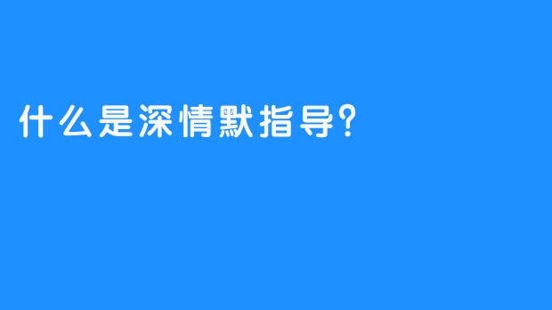 什么是深情默指导？