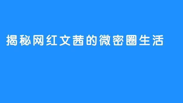 揭秘网红文茜的微密圈生活