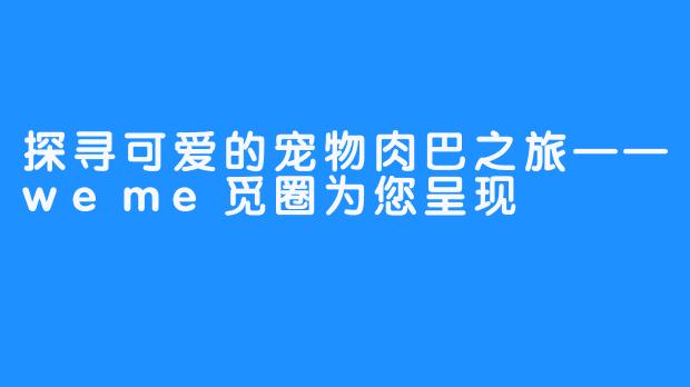 探寻可爱的宠物肉巴之旅——weme觅圈为您呈现