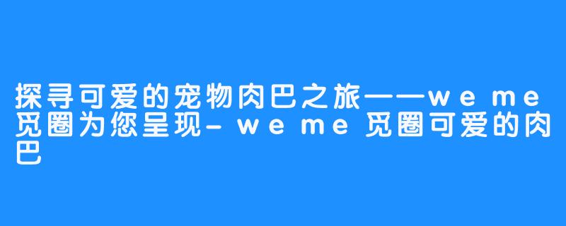 探寻可爱的宠物肉巴之旅——weme觅圈为您呈现-weme觅圈可爱的肉巴