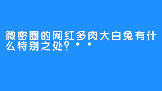 微密圈的网红多肉大白兔有什么特别之处？**